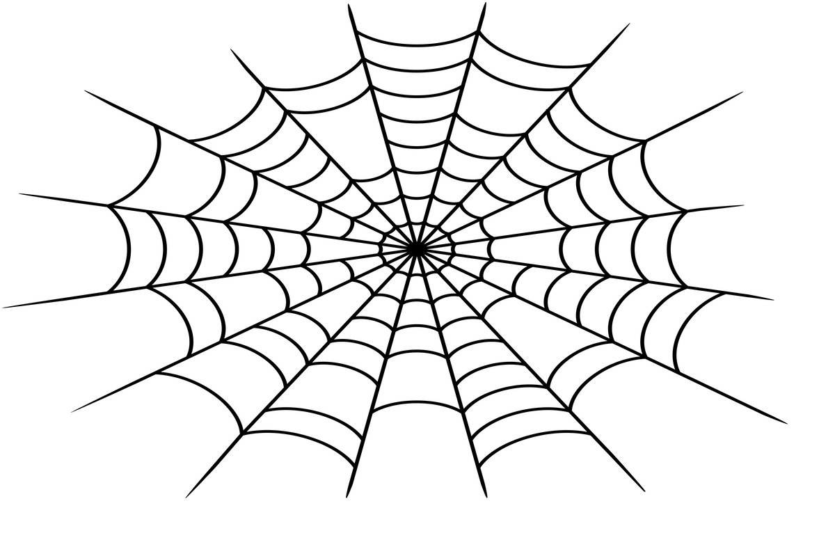 Sun Roof Spider Web Sticker